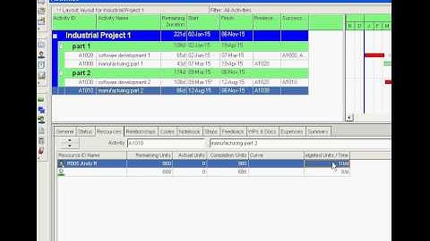 Primavera P6 Adjust Budgeted Units per Time for a resources