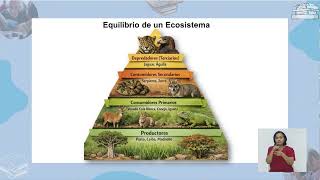 Educación Jóvenes y Adultos | Ecosistema: Concepto, Componentes y Tipos