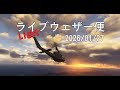 ライブウェザー便 Light|2026/01/27