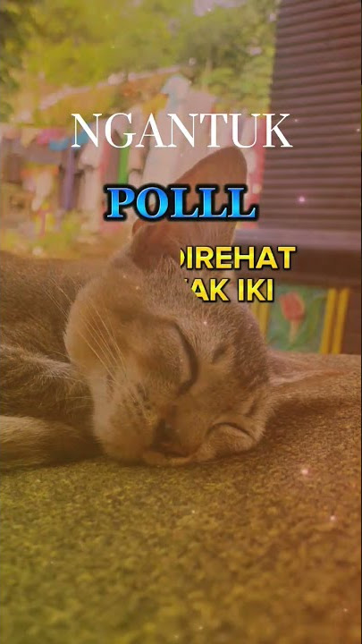 kata kata lucu untuk status wa bahasa jawa