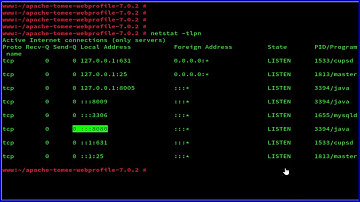 How To  install Apache Tomcat TomEE on OpenSUSE Leap 42.2