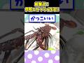 【2ch面白いスレ】超贅沢！伊勢えびでエビフライ作るよwww