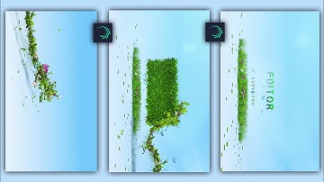 Instagram New Trending Flower Name Art Video Editing Alight Motion।।