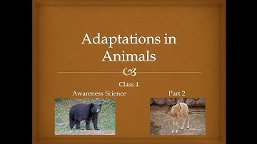 Adaptations in animals | Part 2 | Awareness Science | Class 4 |Science Adda with Papori