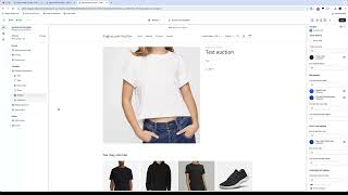 Shopify Auction App - App Setup Using App Blocks