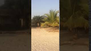 Sussex Tokeh beach Sierra Leone #sussex #beach