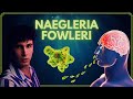 NAEGLERIA FOWLERI ☠️ | La ameba comecerebros en 7 minutos