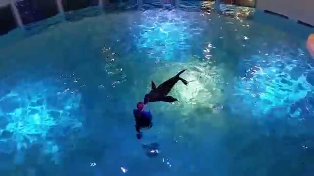 A day at Niagara Aquarium, Niagara Falls NY.