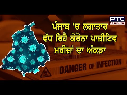 Punjab `ਚ ਕੋਰੋਨਾ ਪਾਜ਼ੀਟਿਵ ਕੇਸਾਂ ਦਾ ਲਗਾਤਾਰ ਵੱਧ ਰਿਹੈ ਅੰਕੜਾ - PTC News Punjabi