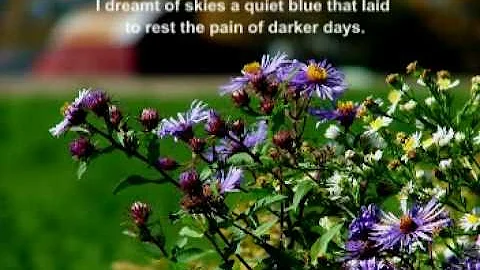 Ron pope  - Virginia [With Lyrics]  NEW!
