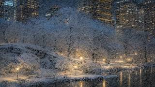 Snow Ambience | Winter Storm White Noise - Heavy Wind & Snow Sounds for Sleeping