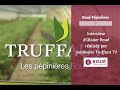 Rou ppinires  spcialiste des plantes de terre de bruyre   jardinerie truffaut tv