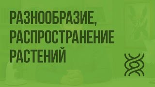 Разнообразие, распространение, значение растений. Видеоурок по биологии 5 класс