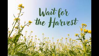 Sixteenth Sunday in Ordinary Time, July 19h, 10:00 am Mass