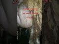 ها علاش النعجة أحسن من الخروفة البركي اكسبلور الصردي