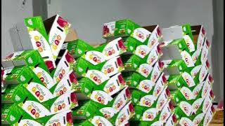 PJJ FRUITS PACKING
