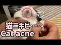 【アゴに】DiDi had a cat acne. How to removal / treatment?【猫ニキビ】