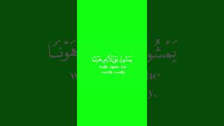 كروما شاشة خضراء قران كريم ?وعباد الرحمن الذين يمشون? القارئ عبد الباسط عبد الصمد