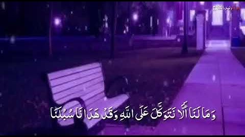 حالات واتس اب صوت رائع | القارئ اسلام صبحي