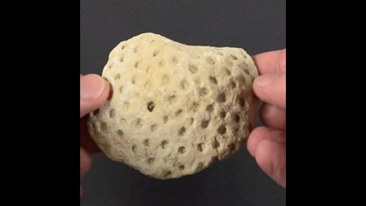 You Won't Believe How This One Polished!