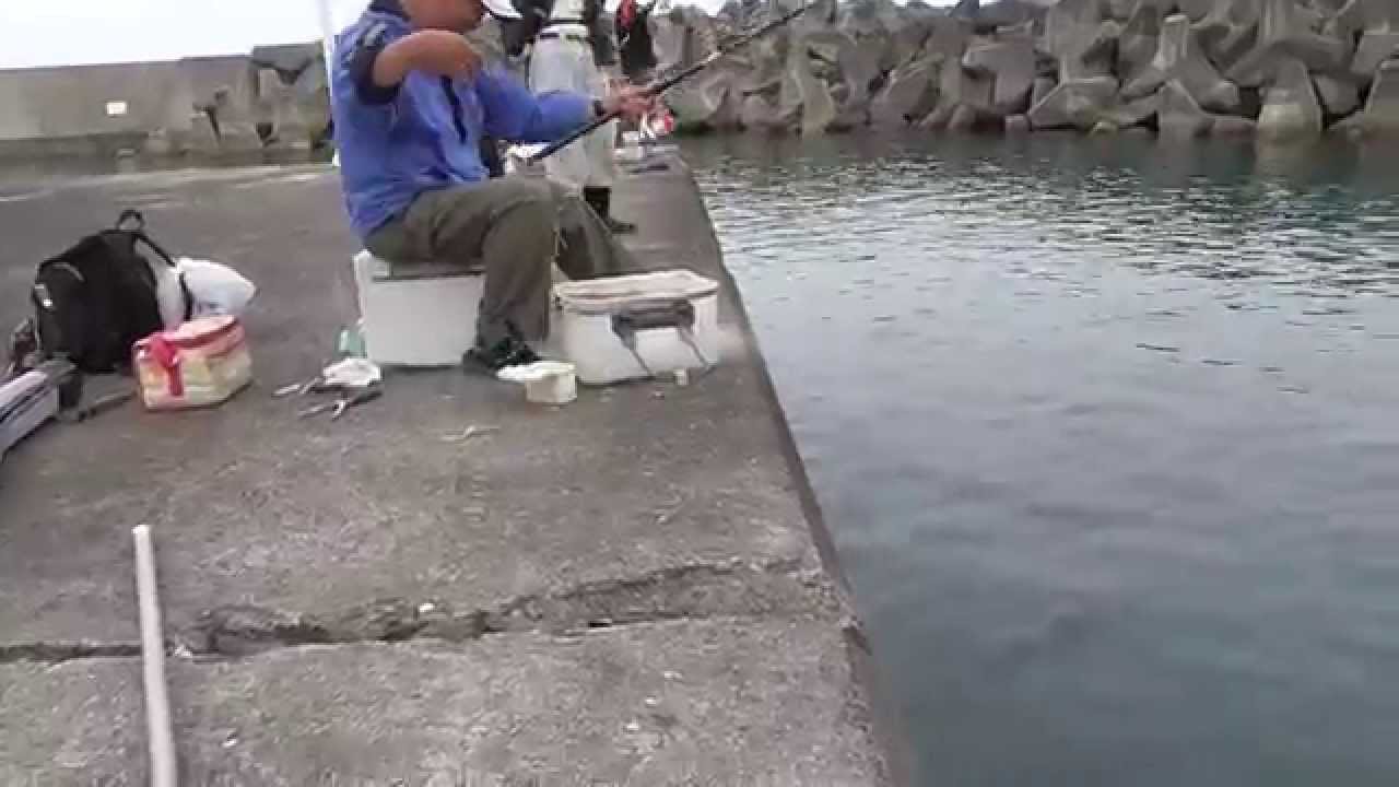 グレ釣り おすすめ動画80選をご紹介 暮らし の