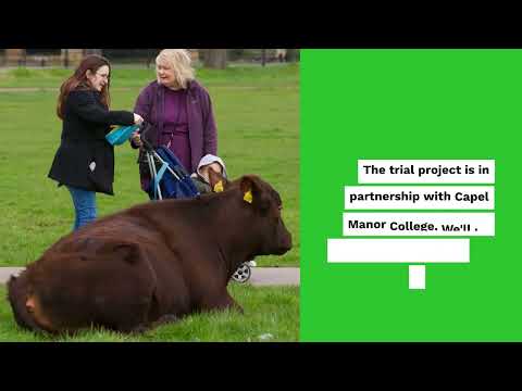 Enfield Conservation Grazing Consultation Video
