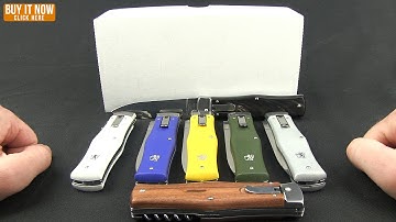 Mikov 241 Predator Overview