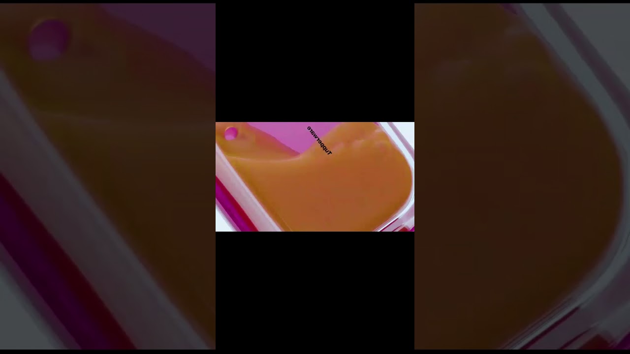 January 2022 Catalogue 