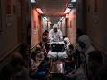 Hantavirus Outbreak Hits Luxury Cruise Ship #virus