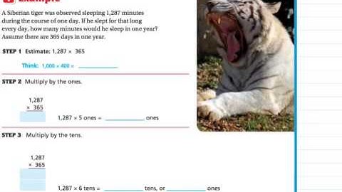 Lesson 1.7 Multiply by Multi-Digit Numbers