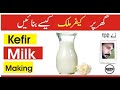 How to make milk kefir at home  kefir kay faiday  top 5 probiotic  ali hashmi urduhindi