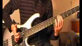 Freaky Styley - Red Hot Chili Peppers [Bass Lesson]