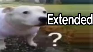 Huh Dog Extended