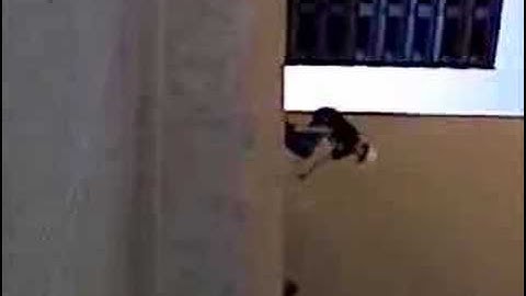 Trey Nollie Loading Dock