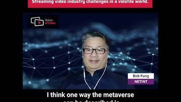 NETINT Technologies about Meta and Metaverse