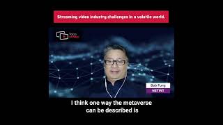 NETINT Technologies about Meta and Metaverse