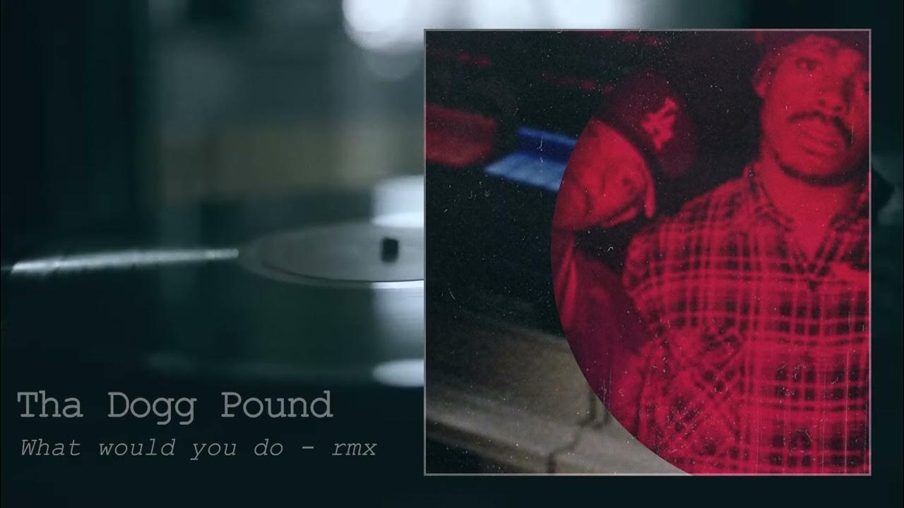 Dogg Pound What Would U Do Video Tha Dogg Pound - What would you do - remix - YouTube