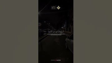 فرحين بما آتاهم الله من فضله || سورة آل عمران || الشيخ #المنشاوي #quran