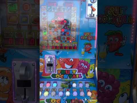 Fu- Dai Panda 🐼 slot Hard Rock Hotel & Casino Tampa Florida