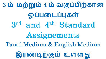 kalvi tv 3rd & 4th std Assignment tamil, english, maths, science, social