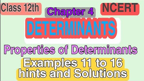 Class 12th Maths! NCERT Ch 4 Determinants! Examples 11,12,13,14,15 and 16! hints and Solutions