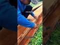 Wood Layout Marking Process | Accurate Measuring Before Cutting