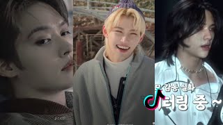 STRAY KIDS TIKTOK EDITS COMPILATION || PT1