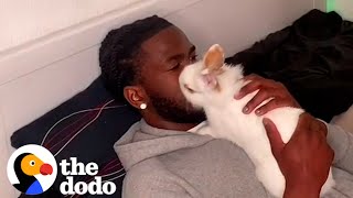 Guy Finds A New Roommate On The Side Of The Road | The Dodo