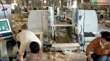 Máy đánh mộng dương 2 đầu 6 dao WM-226 Woodmaster Làm mộng dương 3 cây siêu nhanh