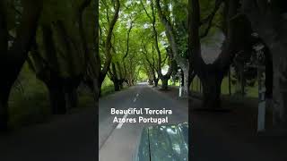 Beautiful Terceira Azores Portugal, caminho dos Altares.
