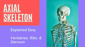 Axial Skeleton Anatomy: Vertebrae, Spine, Ribs, and Sternum #skeleton #bones