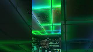 IMG 2378 2