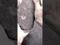 gritty sand cement asmr crumbling water crumbling asmr satisfying #crunchycrumbles
