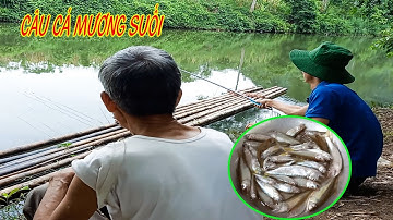 Câu Cá Mương Suối | Câu Cá Mương Mồi Bột | Câu Cá Giải Trí Và Ẩm Thực